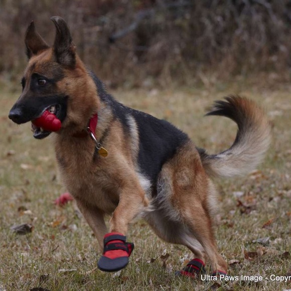 ***SOLD**** - Picture 7 of 8